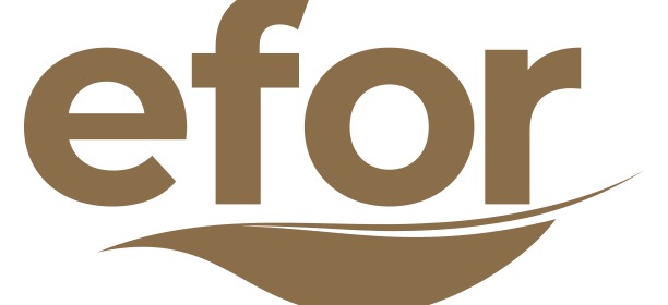 efor çay logo